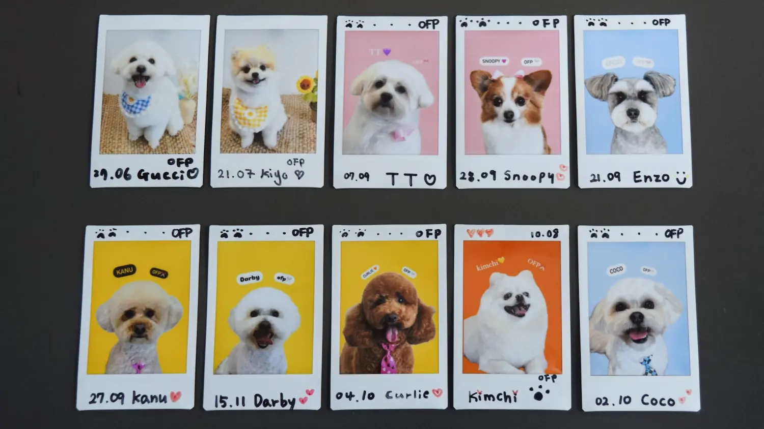 10 mini Polaroid photos of different dogs with various dog grooming styles, each with the dog's name and grooming date. 